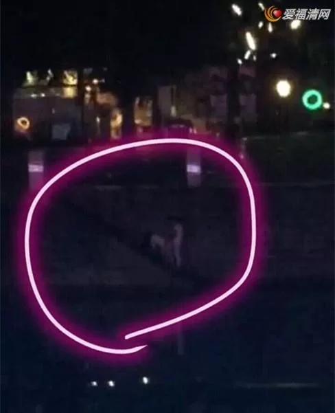 成都九眼桥桥震门事件:真相与影响全解析 成都九眼桥桥震门事件:真相与影响全解析