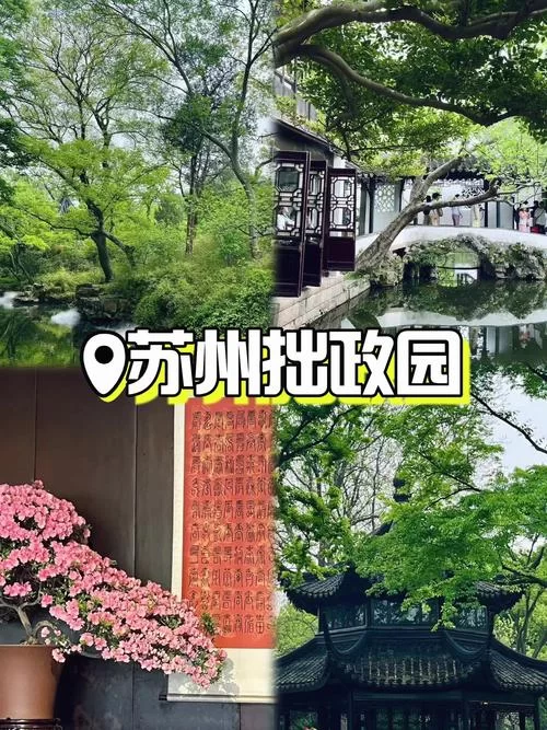 中国园林之母是哪个园?答案揭晓:苏州拙政园! 中国园林之母是哪个园?答案揭晓:苏州拙政园!