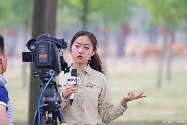 最萌女记者的日常：工作与生活的完美平衡？