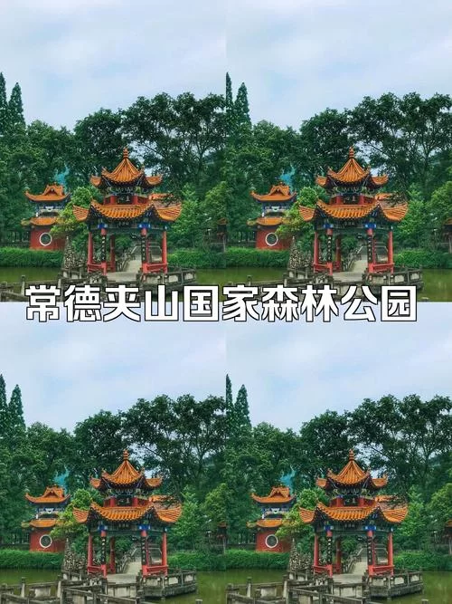 石门开门网：石门县民的线上交流平台