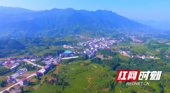 石门开门网：石门县民的线上交流平台