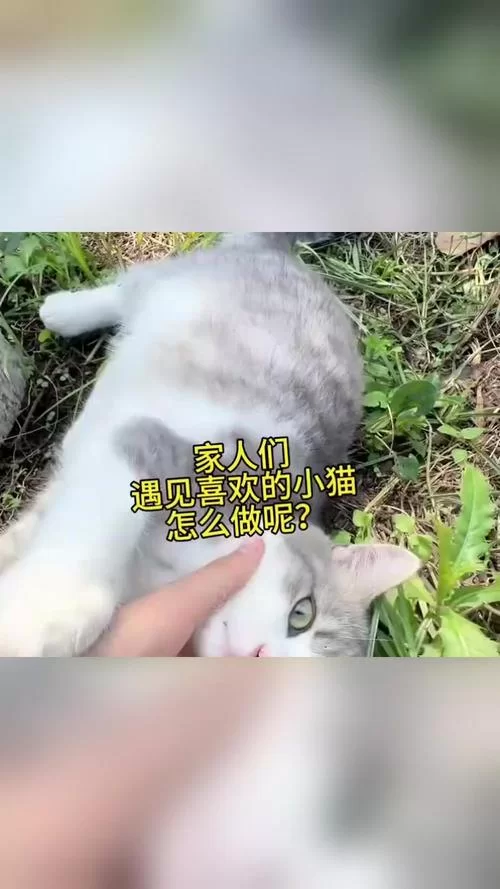 盘点那些让人心动的萌女角色，你最爱哪个？