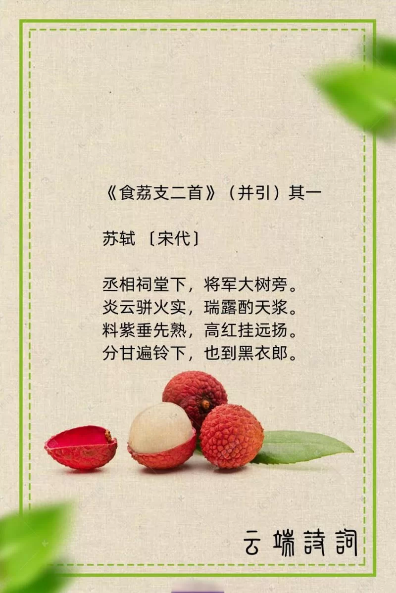 想了解苏轼的荔枝诗？这句名句你一定听说过“日啖荔枝三百颗”
