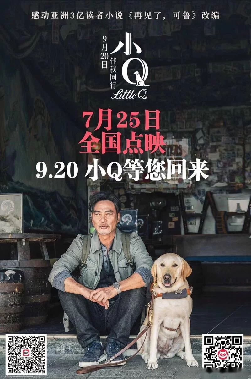 小Q电影高清在线观看，完整版资源免费分享