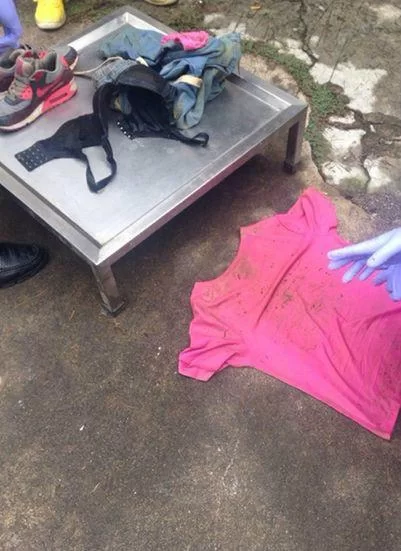 湖北女孩凡莎莎之死：案件回顾与反思