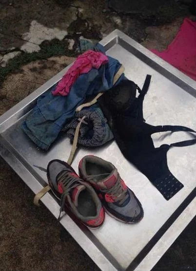 湖北女孩凡莎莎之死：案件回顾与反思