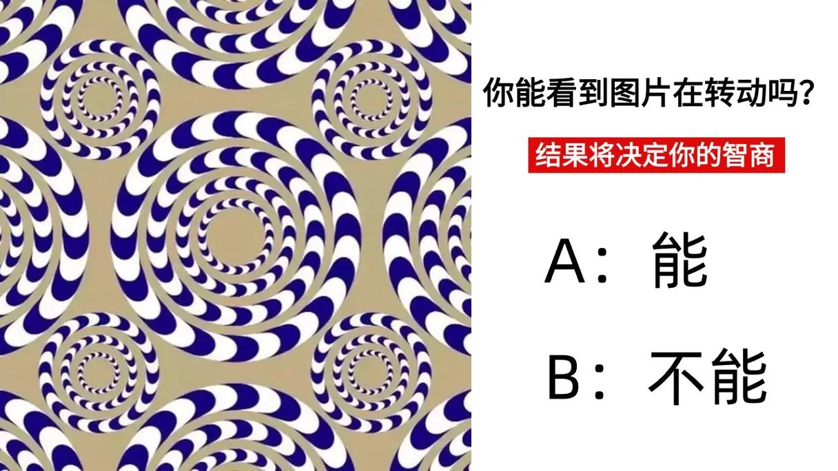 测测你的智商：你比五年级生聪明吗？看看你能答对几道题！