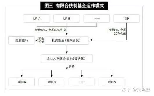 揭秘冠军经理的投资策略：从年度冠军到季度表现