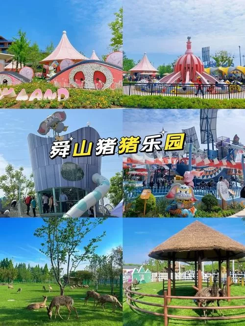 bt猪猪乐园好用吗？网友评价与使用体验分享