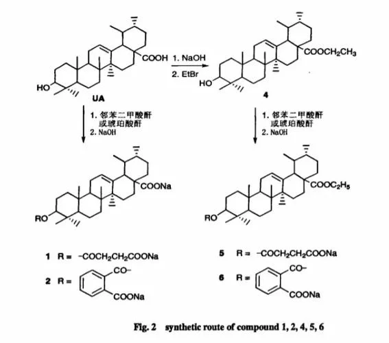 UNPC是什么？详解UNPC的含义及应用场景