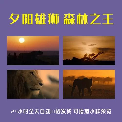狮群狩猎：雄狮还是雌狮？答案或许出乎意料