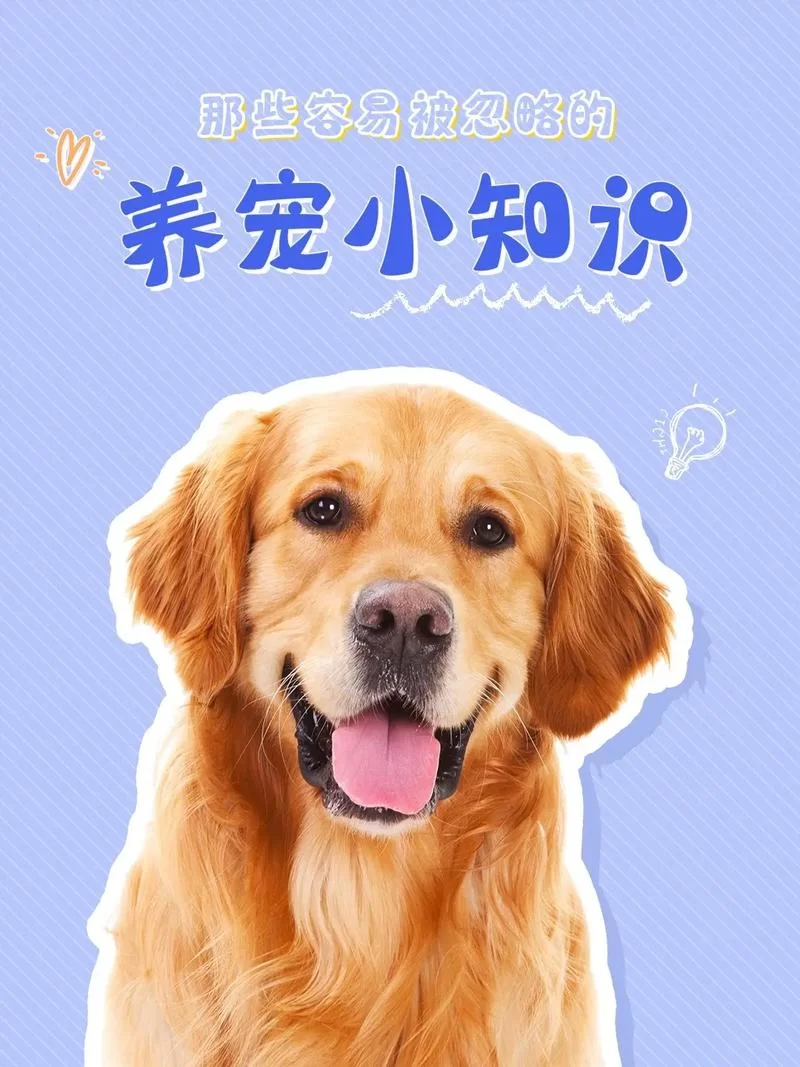 爱宠网：丰富的宠物知识，宠物养护指南全都有！