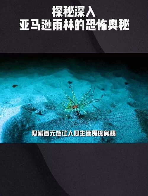 深入探秘：那些隐藏的黑暗意图