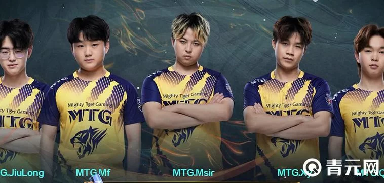 MTG战队：王者荣耀赛场上的拼搏与荣耀