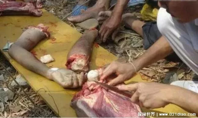 食人宴电影解说：恐怖盛宴背后的真相