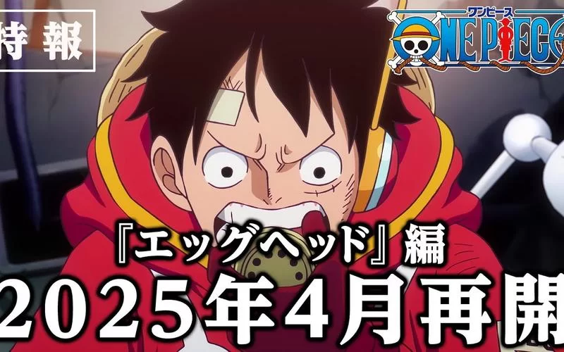 海贼王动画停播真相：官方声明及后续安排详解