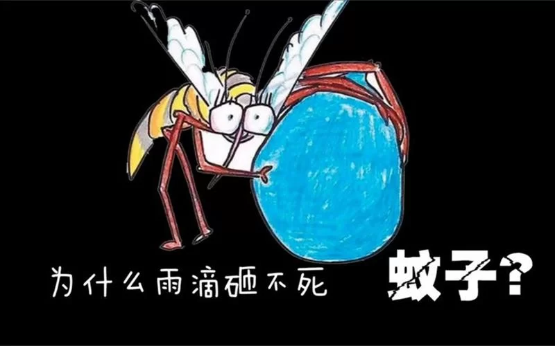 为什么下雨天蚊子没被雨滴砸死？这背后隐藏着什么秘密？