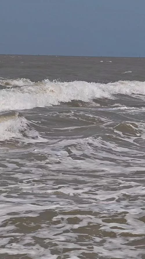 抖音视频在线观看，海量资源等你发现！