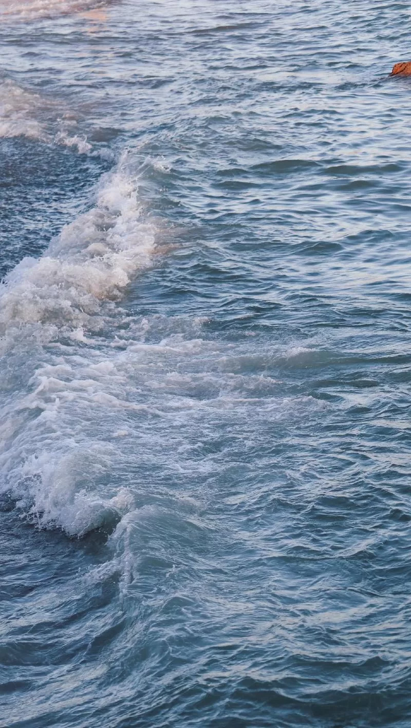 抖音视频在线观看，海量资源等你发现！