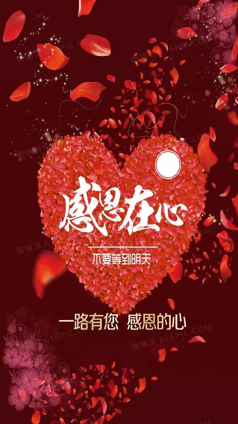 2021年最火的感恩句子大全，表达你最真挚的谢意