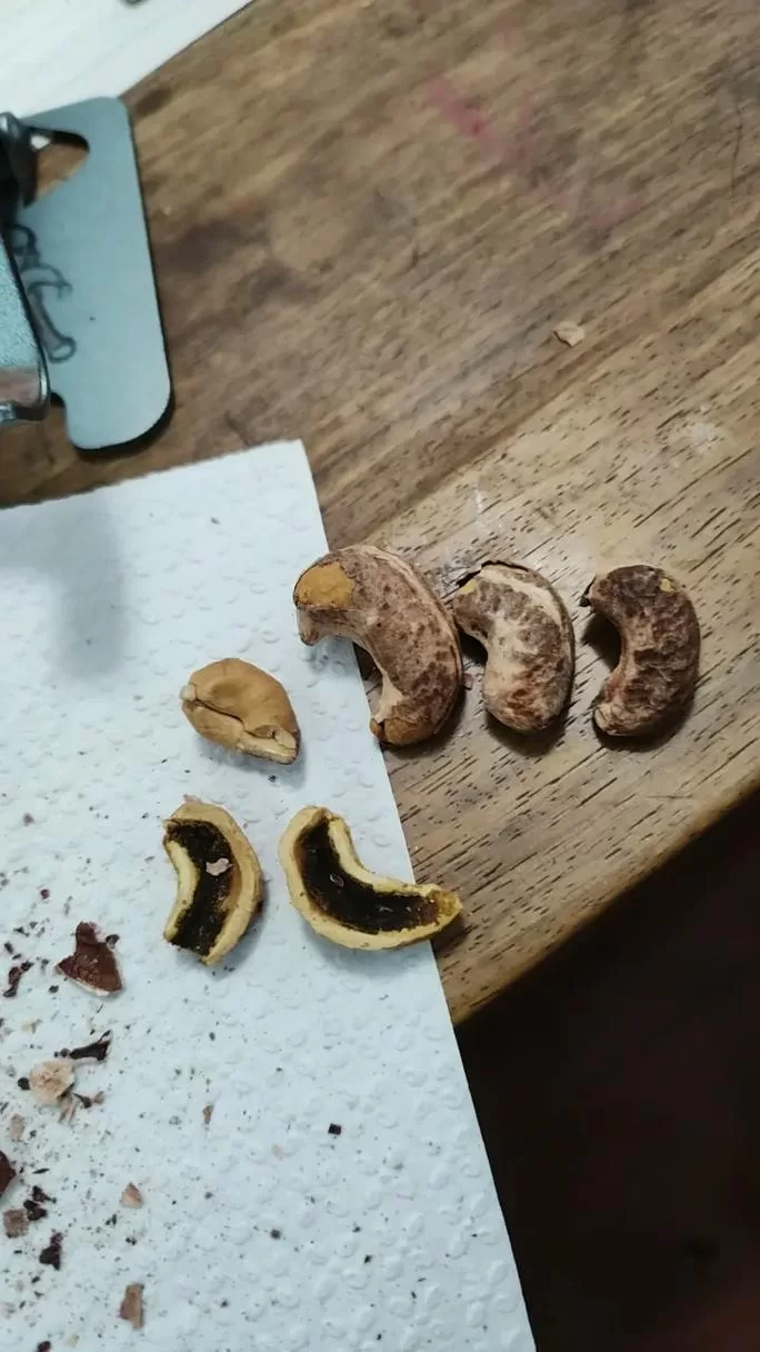 为什么买到的腰果都没有壳？原来腰果壳有毒！
