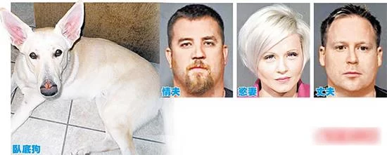 爱兽交的真相：动物恋与性行为的界限
