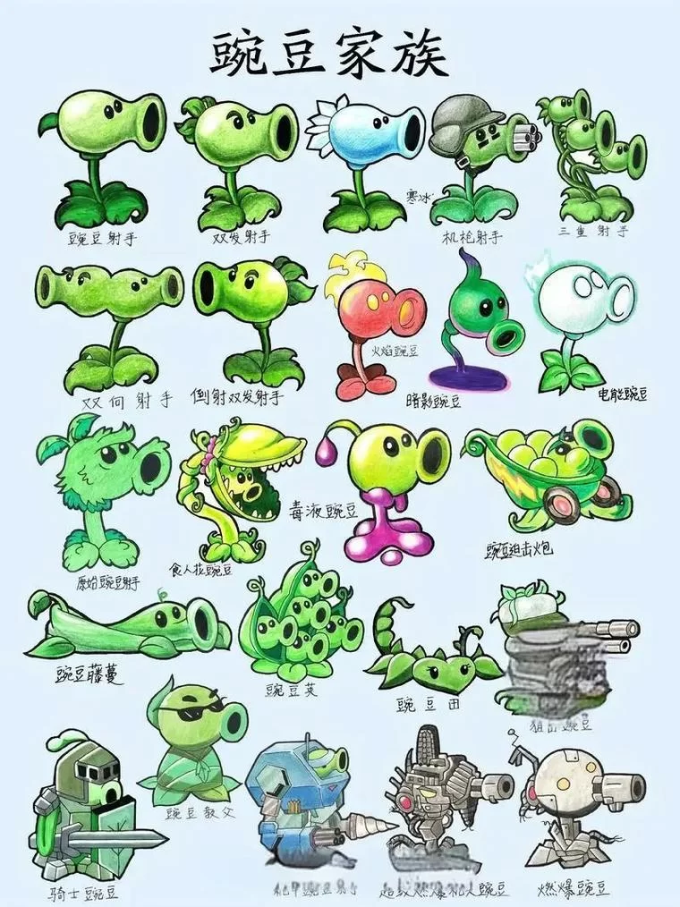 植物大战僵尸：那些年我们一起打僵尸的时光