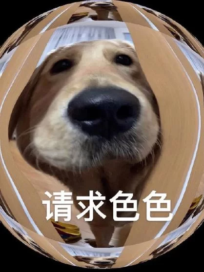 寻求刺激？这些有点色的电影绝对让你过瘾