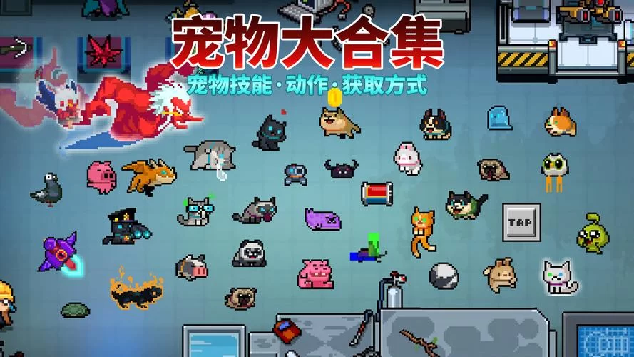 元气骑士小天狗宠物获得方法，快速解锁小天狗！