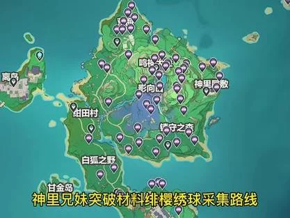 原神绯樱绣球位置地图：75个绣球轻松收集攻略