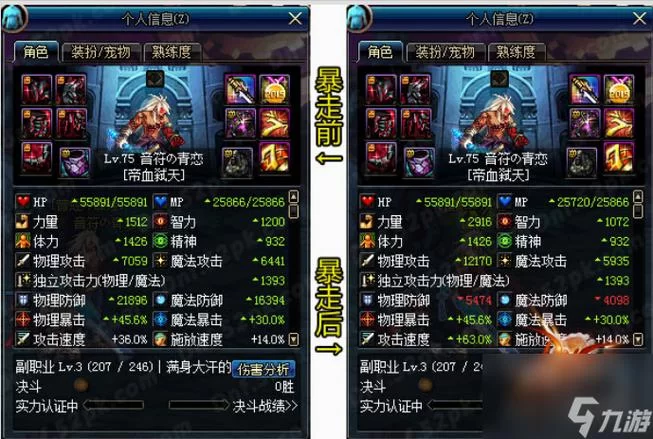 DNF红眼时装属性选择攻略：输出最大化秘籍！