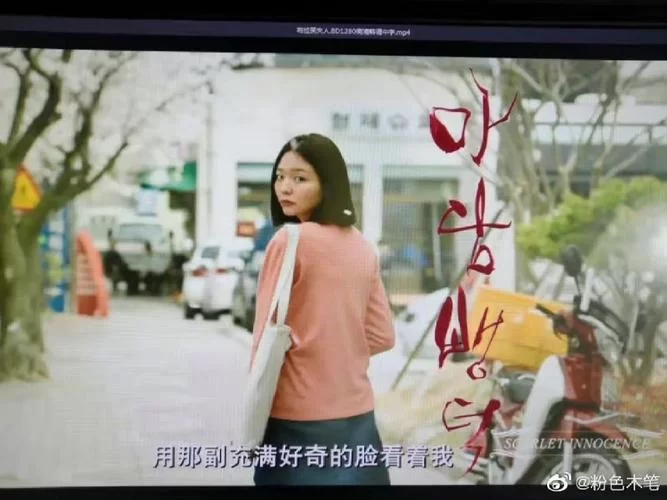 七月樱花网影评口碑：网友评价如何？值得一看吗？