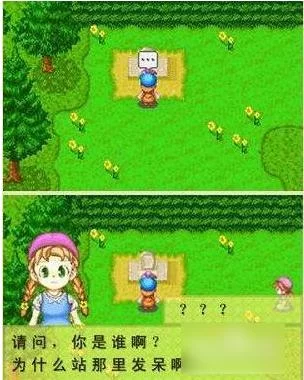 牧场物语矿石镇的伙伴们攻略：高效赚钱养成秘籍
