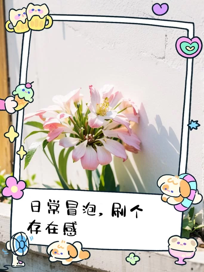 “冒泡”的几种含义：从网络到生活