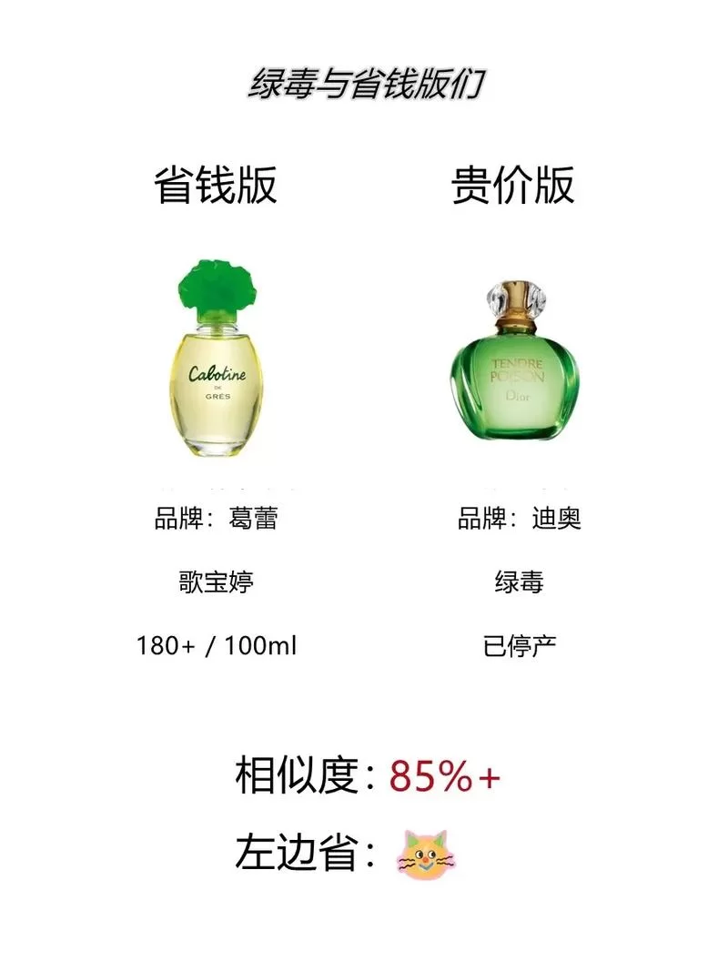 绿毒官网最新版：丰富资源，畅玩无极限