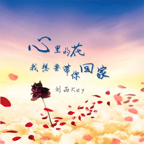 “心里的花我想要带你回家”是哪首歌的歌词？这句歌词表达了什么情感？