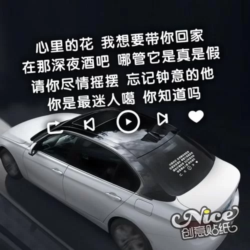 “心里的花我想要带你回家”是哪首歌的歌词？这句歌词表达了什么情感？