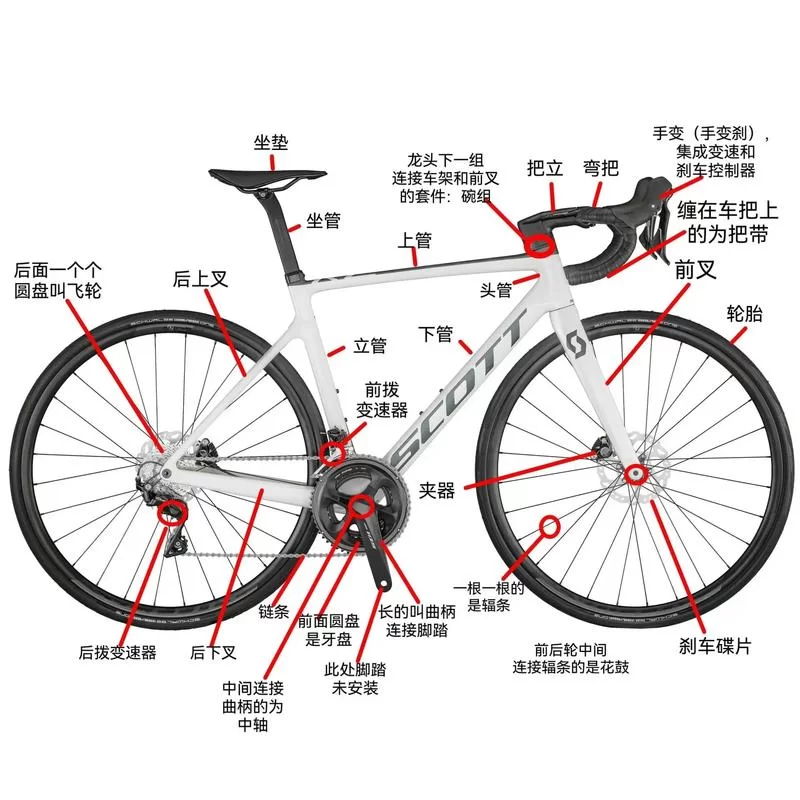 特技单车基础入门教程：从新手到高手进阶之路