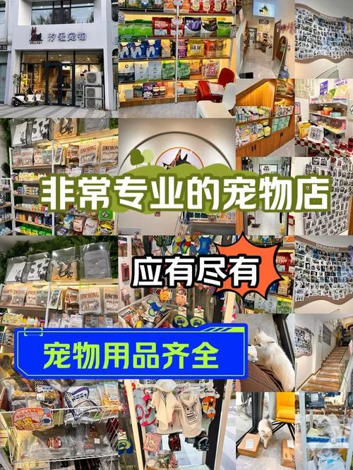 宠物之家：打造温馨舒适的爱宠乐园，让宠物快乐成长