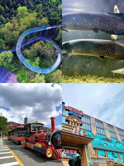 游玩网好用吗？带你体验不一样的旅游乐趣