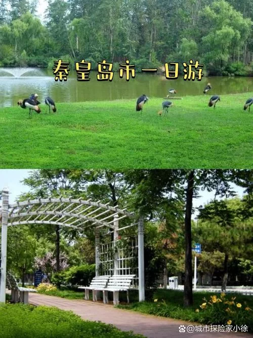 游玩网好用吗？带你体验不一样的旅游乐趣