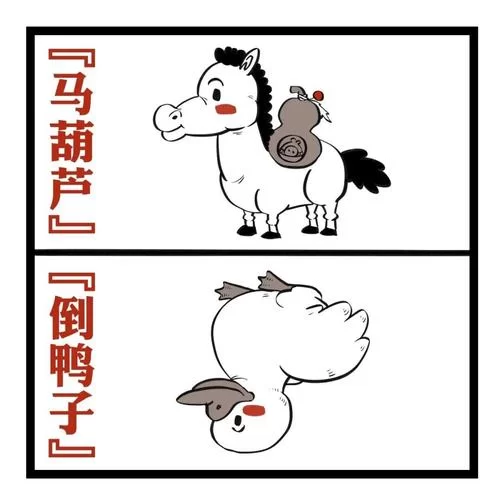 到鸭子是什么意思？大连话流行语爆笑解读