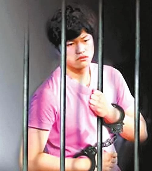 李天一轮奸案始末：十年后真相如何？