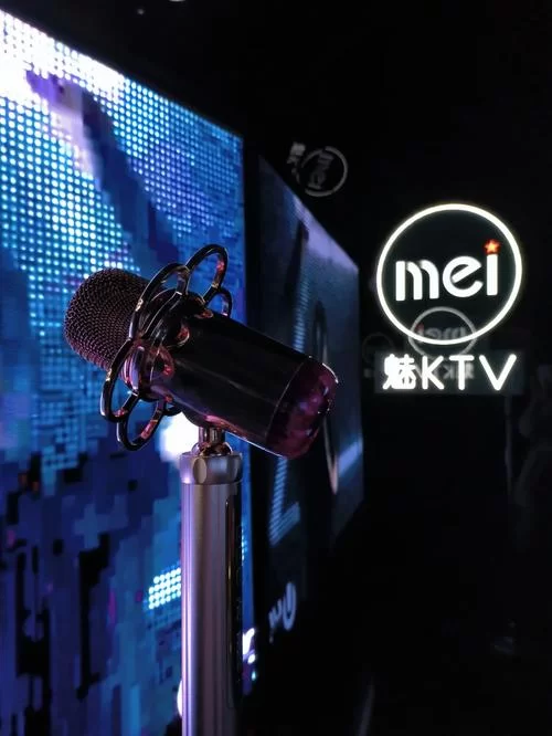乐乐KTV免费下载论坛：正版KTV歌曲免费下载，资源超多