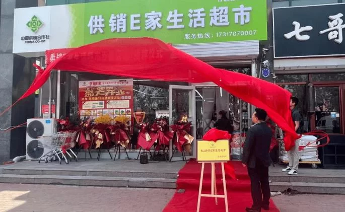 品质生活，从供销e家开始：线上线下全覆盖的购物体验