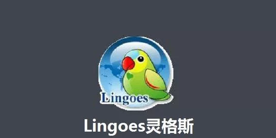 灵格斯下载安装教程：图文详解，一看就会