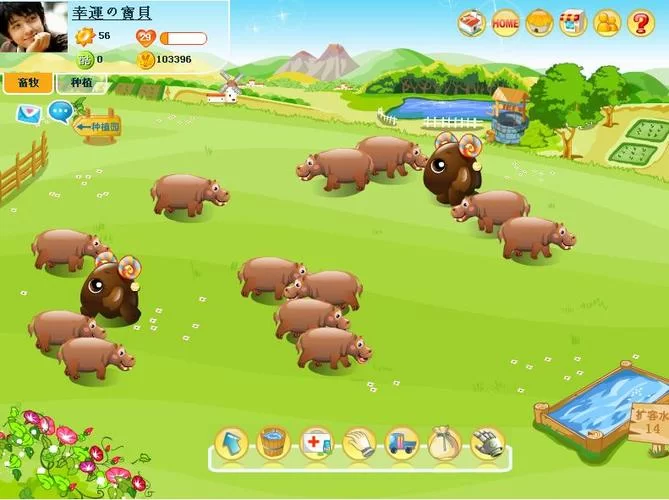 阳光牧场游戏攻略：快速升级技巧及赚钱秘籍