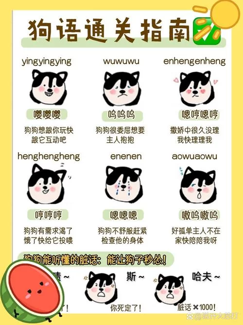 狗狗说话你听懂吗？狗语言翻译软件推荐