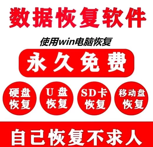 数据恢复神器：文件恢复器帮你解决数据丢失难题
