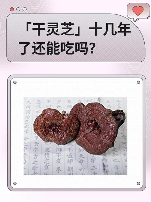 灵芝年份和功效有直接关系吗？选购灵芝的实用指南